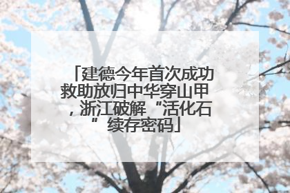 建德今年首次成功救助放归中华穿山甲，浙江破解“活化石”续存密码