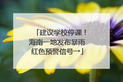 建议学校停课！海南一地发布暴雨红色预警信号→