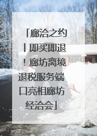 廊洽之约丨即买即退！廊坊离境退税服务端口亮相廊坊经洽会