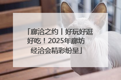 廊洽之约丨好玩好逛好吃！2025年廊坊经洽会精彩纷呈