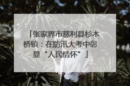 张家界市慈利县杉木桥镇：在防汛大考中彰显“人民情怀”