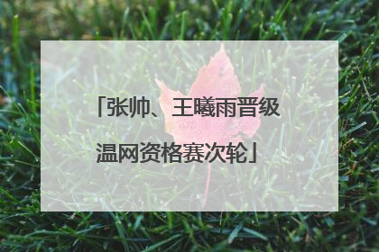 张帅、王曦雨晋级温网资格赛次轮