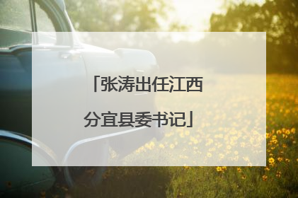 张涛出任江西分宜县委书记