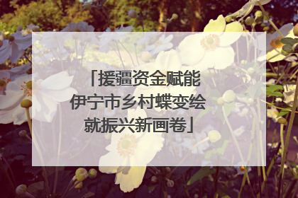 援疆资金赋能 伊宁市乡村蝶变绘就振兴新画卷