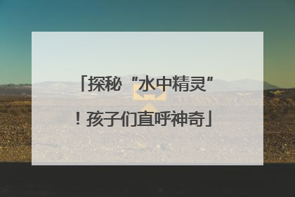 探秘“水中精灵”！孩子们直呼神奇