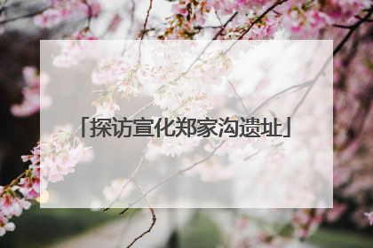 探访宣化郑家沟遗址