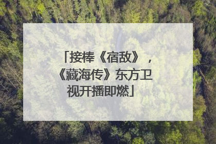 接棒《宿敌》，《藏海传》东方卫视开播即燃