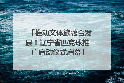 推动文体旅融合发展！辽宁省匹克球推广启动仪式启幕