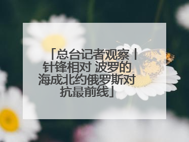 总台记者观察丨针锋相对 波罗的海成北约俄罗斯对抗最前线