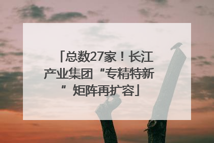 总数27家！长江产业集团“专精特新”矩阵再扩容