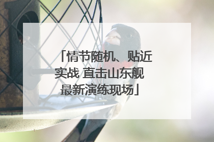 情节随机、贴近实战 直击山东舰最新演练现场