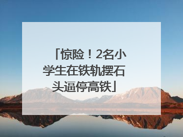 惊险！2名小学生在铁轨摆石头逼停高铁