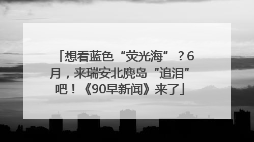 想看蓝色“荧光海”？6月，来瑞安北麂岛“追泪”吧！《90早新闻》来了