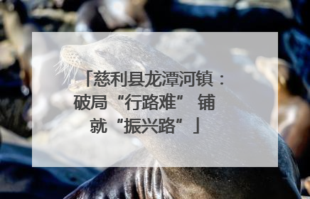 慈利县龙潭河镇：破局“行路难” 铺就“振兴路”