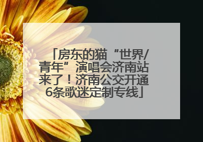 房东的猫“世界/青年”演唱会济南站来了！济南公交开通6条歌迷定制专线