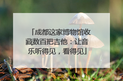 成都这家博物馆收藏数百把吉他：让音乐听得见，看得见
