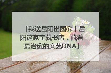 我送岳阳出圈⑥丨岳阳这家宝藏书店，藏着最治愈的文艺DNA