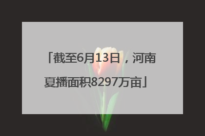 截至6月13日，河南夏播面积8297万亩