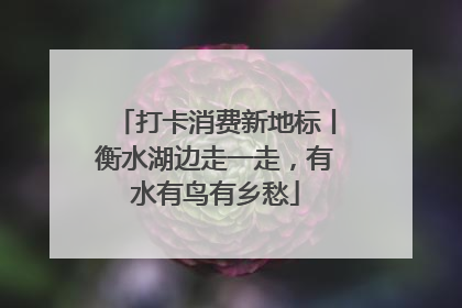 打卡消费新地标丨衡水湖边走一走，有水有鸟有乡愁
