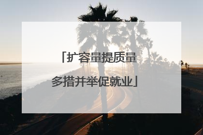扩容量提质量 多措并举促就业