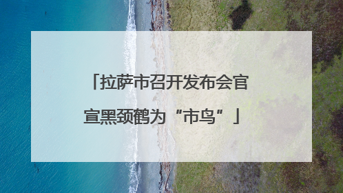 拉萨市召开发布会官宣黑颈鹤为“市鸟”