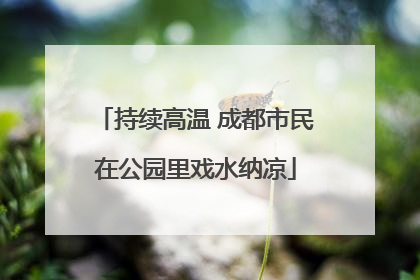 持续高温 成都市民在公园里戏水纳凉
