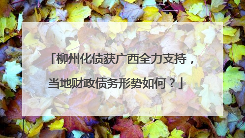 柳州化债获广西全力支持，当地财政债务形势如何？