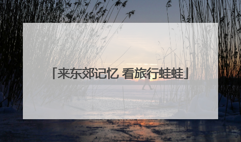 来东郊记忆 看旅行蛙蛙