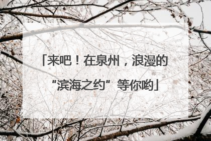 来吧！在泉州，浪漫的“滨海之约”等你哟
