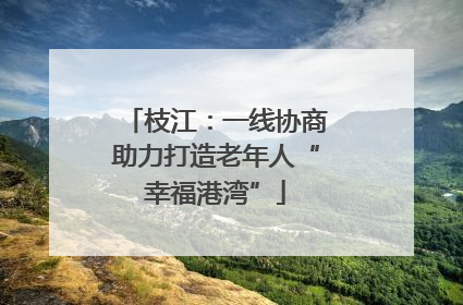 枝江：一线协商助力打造老年人“幸福港湾”