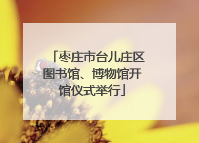 枣庄市台儿庄区图书馆、博物馆开馆仪式举行