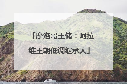 摩洛哥王储：阿拉维王朝低调继承人