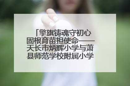 擎旗铸魂守初心 固根育苗担使命——天长市炳辉小学与萧县师范学校附属小学结对共建活动纪实
