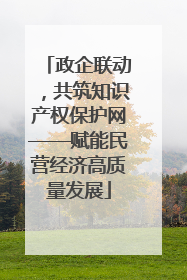 政企联动，共筑知识产权保护网——赋能民营经济高质量发展