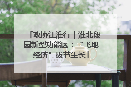 政协江淮行｜淮北段园新型功能区：“飞地经济”拔节生长
