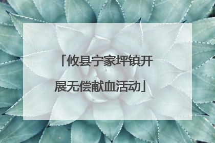 攸县宁家坪镇开展无偿献血活动