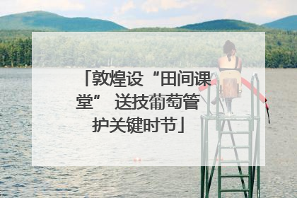 敦煌设“田间课堂” 送技葡萄管护关键时节