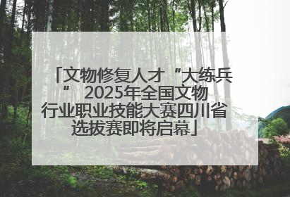 文物修复人才“大练兵” 2025年全国文物行业职业技能大赛四川省选拔赛即将启幕