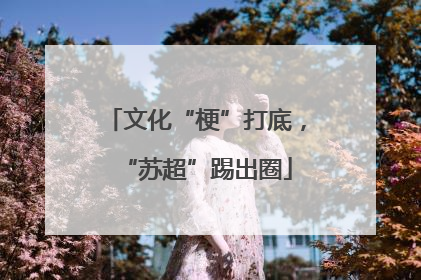 文化“梗”打底，“苏超”踢出圈