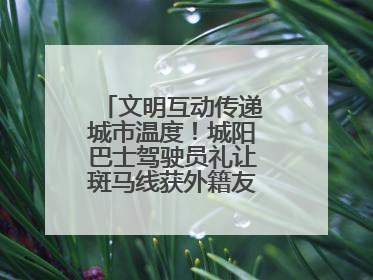 文明互动传递城市温度！城阳巴士驾驶员礼让斑马线获外籍友人鞠躬致谢
