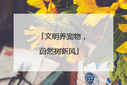 文明养宠物，蔚然树新风