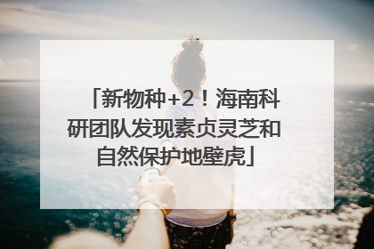 新物种+2！海南科研团队发现素贞灵芝和自然保护地壁虎