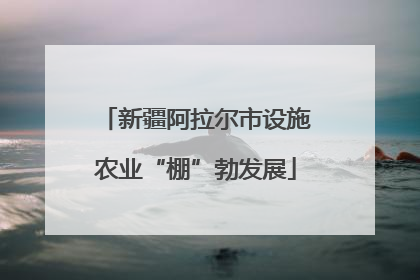新疆阿拉尔市设施农业“棚”勃发展