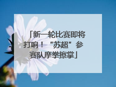 新一轮比赛即将打响！“苏超”参赛队摩拳擦掌