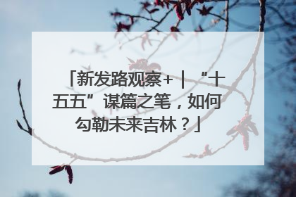 新发路观察+｜“十五五”谋篇之笔，如何勾勒未来吉林？