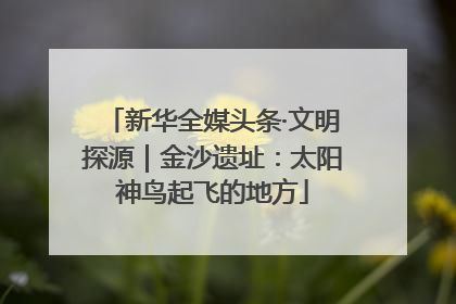新华全媒头条·文明探源｜金沙遗址：太阳神鸟起飞的地方