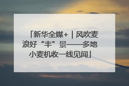 新华全媒+｜风吹麦浪好“丰”景——多地小麦机收一线见闻