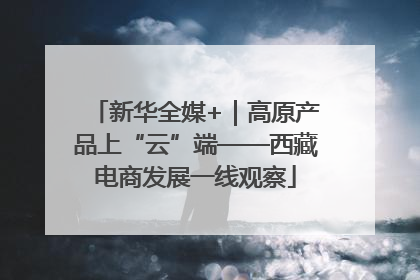 新华全媒+｜高原产品上“云”端——西藏电商发展一线观察
