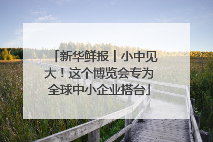 新华鲜报丨小中见大！这个博览会专为全球中小企业搭台