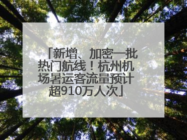 新增、加密一批热门航线！杭州机场暑运客流量预计超910万人次